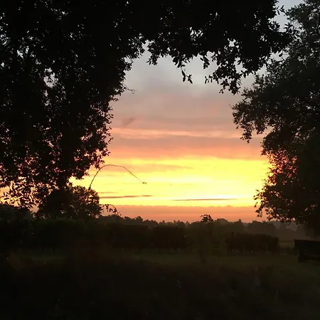 Du Chateau Le Noble ゲストハウス 3*