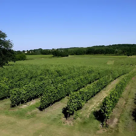 Maison d'hôtes Du Château Le Noble