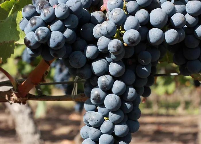 Du Chateau Le Noble 3* Saint-Germain-du-Puch